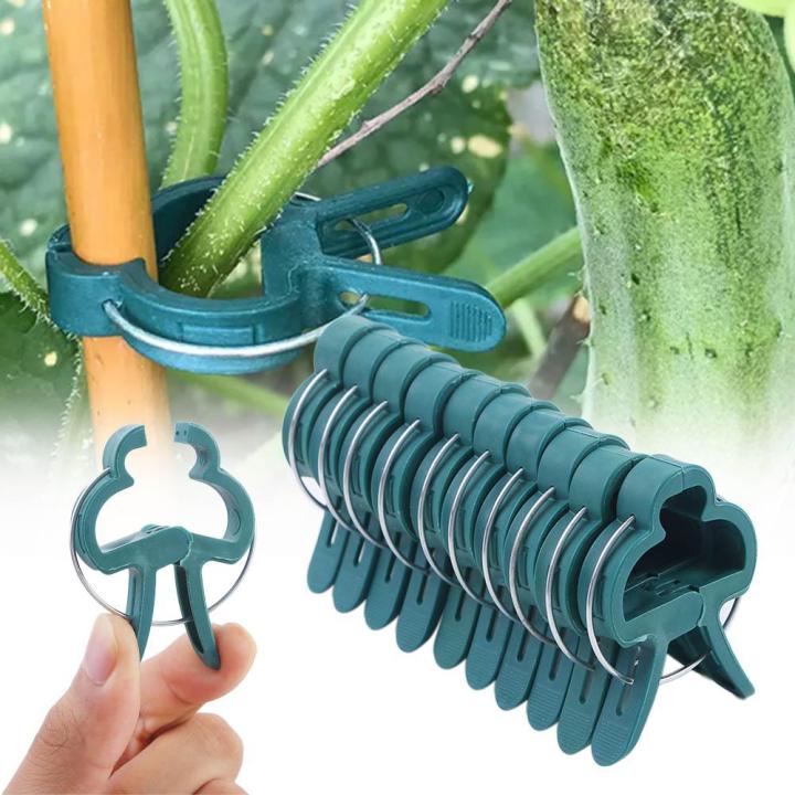 10/20 Pcs Grafting Planting Stakes Connector Vine Support Branch ...