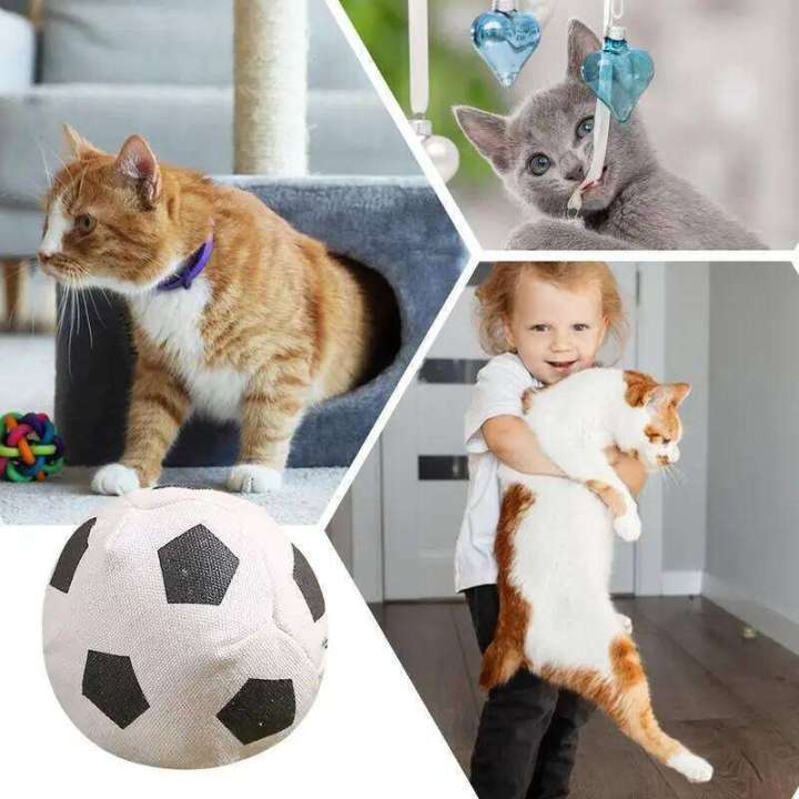 Caip%20Balls%20Funny%20Cat%20Teeth%20Cleaning%20Toys%20Colorful%20Pet%20Supplies%20Portable%20Enrichment%20Game%20For%20Domestic%20Animals%20-%20Image%205