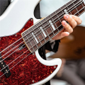 JAERBEE Set of 10 Pcs Stainless Steel Strings with Color Ball Ends for 5 String Electric Bass Guitar Replacement Parts. 