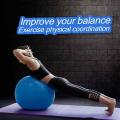 Gym Exercise Ball For Fitness, Stability, Gym, Balance And Yoga, Yoga Ball Chair, Balance Ball And Pump. 