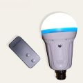 Rechargeable Led Ceiling Lamp With Remote Control, AC/DC Bulb With Remote. 