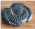 Saligram Chakra Unbroken Original. 