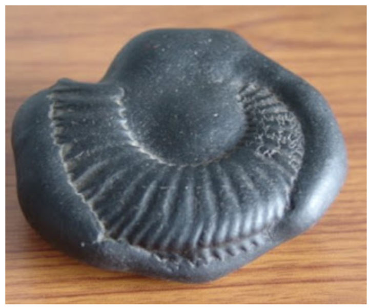 Saligram%20Chakra%20Unbroken%20Original%20-%20Image%203