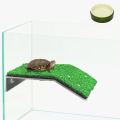 Turtle Basking Platform Large Size By HAMROPETS. 