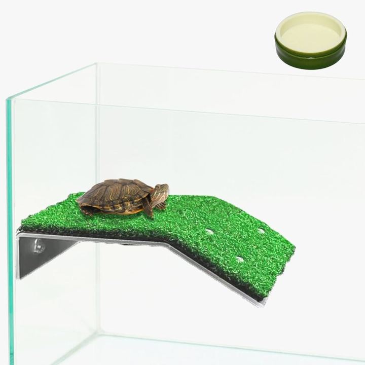 Turtle%20Basking%20Platform%20Large%20Size%20By%20HAMROPETS%20-%20Image%205