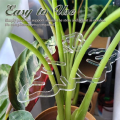 Turtle Shell Bamboo Clamp Set, Plant Stem Plastic Support,Flower-Shaped Green Plant Leaf Holder, Turtle Shell Bamboo A+B. 