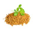Fenugreek Seeds (Methi Dana) - 200 GM. 
