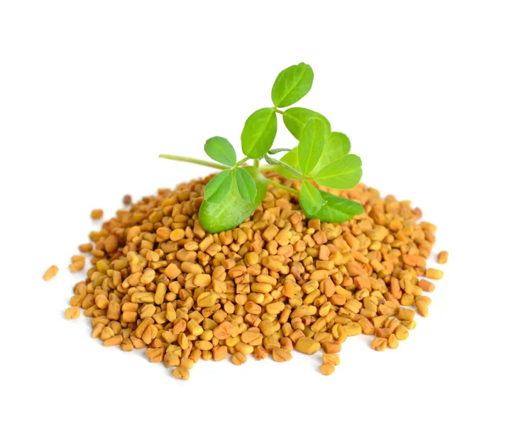Fenugreek%20Seeds%20(Methi%20Dana)%20-%20200%20GM%20-%20Image%202