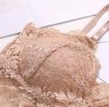 Lace Padded Cage Bralatte For Women. 