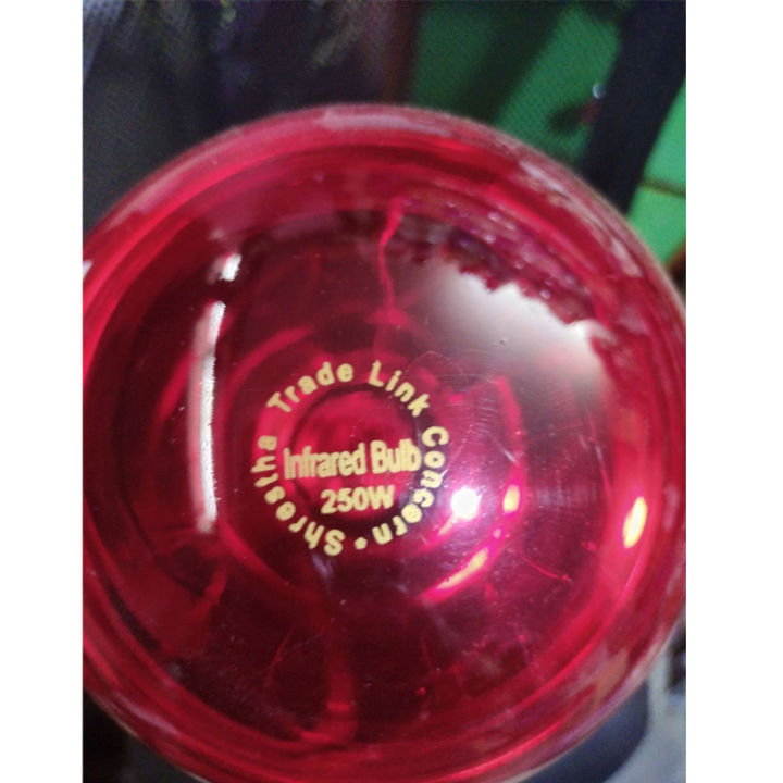 Red%20Infrared%20Heating%20Bulb%20250w/200W%20With%20Free%20Ceramic%20Holder%20-%20Image%202
