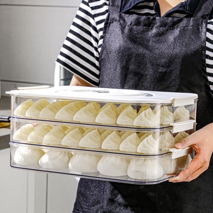 Dumplings Box Refrigerator Dumpling Freezing Box 3 Layer Freeze Box ...