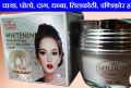 Anti Melasma and Pigmentation Chaya Poto Melatonin Night Cream 30g. 