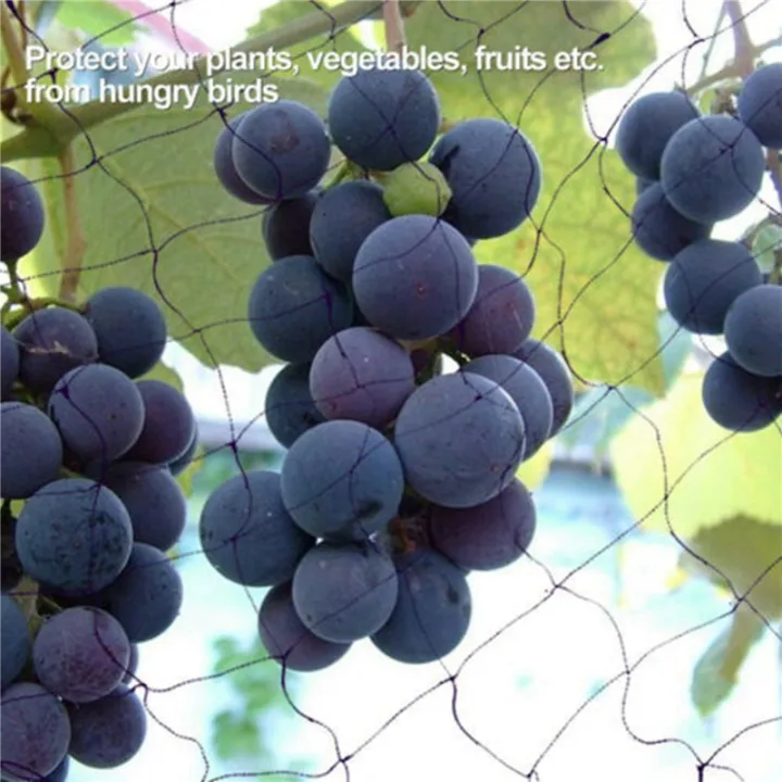 EITGZWAS%202X%20Black%20Nylon%20Anti%20Bird%20Net%20Netting%20Mesh%20for%20Fruit%20Crop%20Plant%20Tree%20Bird-Preventing%20Netting%2015X7.5M%20-%20Image%206