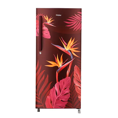 Haier%20195%20Liters%205-Star%20Rated%20Single%20Door%20Refrigerator%20%20HRD-1955CRC-E%20%20World's%20No.1%20Refrigerator%20Brand%20-%20Image%205