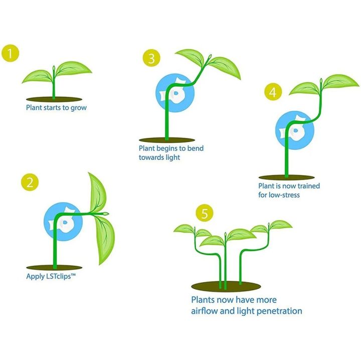 30Pcs%20Durable%20Plastic%20Plant%20Benders%20Growth%20Manipulation%20Plant%20Stem%20Branche%20Bending%20Low%20Stress%20Clip%20Garden%20Supplies%20Reuseable%20Plant%20Support%20Clamps%20-%20Image%203