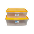 Bagmati Multi Purpose Storage Container Box Set Of 2 - 9.5L And 6.5L. 