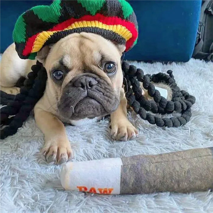 2X%20Funny%20Dog%20Toys%20-%20Plush%20Squeaky%20Toys%20for%20Medium,%20Small%20-%20Cool%20Stuffed%20Cute%20Gifts%20for%20Dog%20Birthday%20-%20Image%207