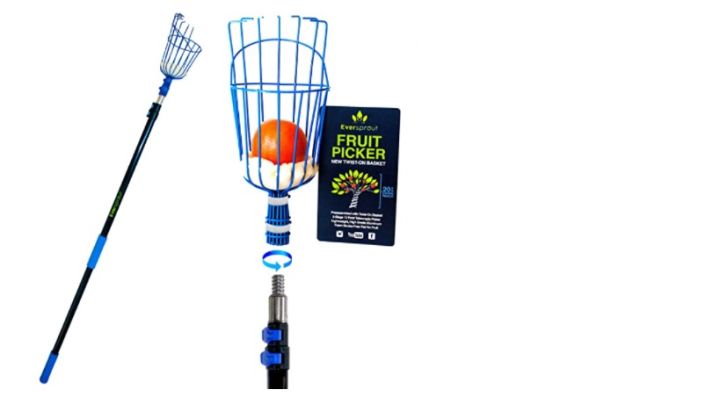 Height Adjustable Fruit Picker With Big Basket