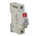 Havells Euro-II C- Series SP  MCB 32A (Miniature Circuit Breaker) 10kA (C32) By Bijulipasal. 