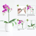 fasdaga 120Pcs Plant Supports Set - 40 Pack Flower Plant Stakes Sticks (3 Sizes), 40 Plant Support Clips and 40 Orchid Clips. 