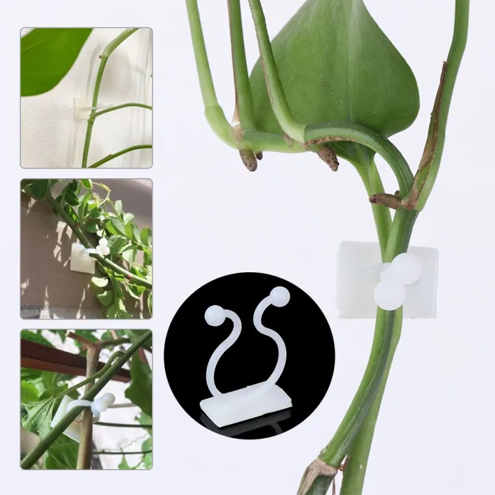 10PCS%20Invisible%20Plants%20Holder%20Greenhouse%20Bracket%20Wall%20Sticky%20Hook%20Plant%20Clip%20Wall%20Vines%20Rattan%20Clamp%20-%20Image%207