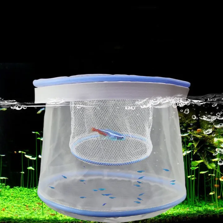 Breeding%20Equipment%20Ventilated%20Guppy%20Breeding%20Net%20Permeable%20Nylon%20Fish%20Isolation%20Box%20Portable%20Floating%20Fish%20Net%20Fish%20-%20Image%204