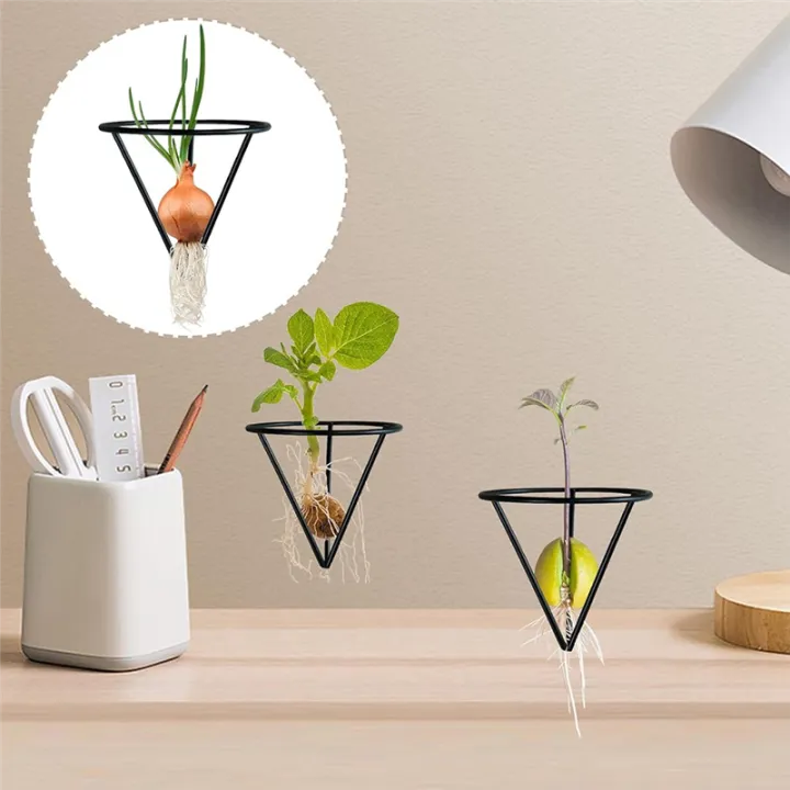 4%20Pieces%20Avocado%20Seed%20Growing%20Metal%20Stand%20-%20Image%203