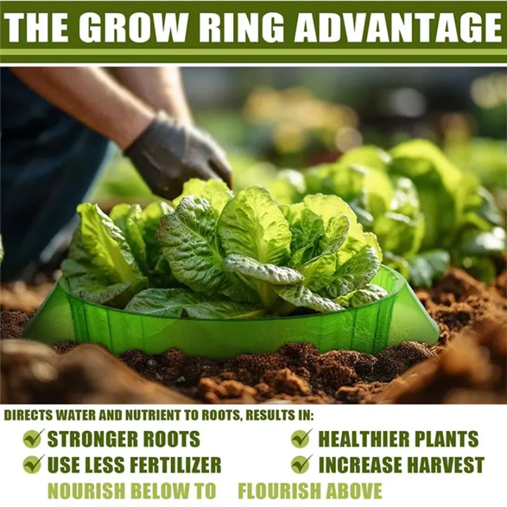 Plant%20Protection%20Rings%20Snail%20Collars%20Stop,%20Eco-Friendly%20Garden%20Solution%20for%20Healthy%20Plants%20-%20Image%207