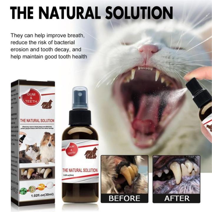 Dog%20Dental%20Spray%20Fresh%20Dental%20Spray%20For%20Dogs%20And%20Cats%20Dog%20Breath%20Freshener%20And%20Dog%20Teeth%20Cleaning%20For%20Dog%20Dental%20Care%2030ml%20Dog%20-%20Image%203