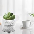 Home Decoration Items 3 Piece Mini Owl Design Flower Pot Succulent Planter. 