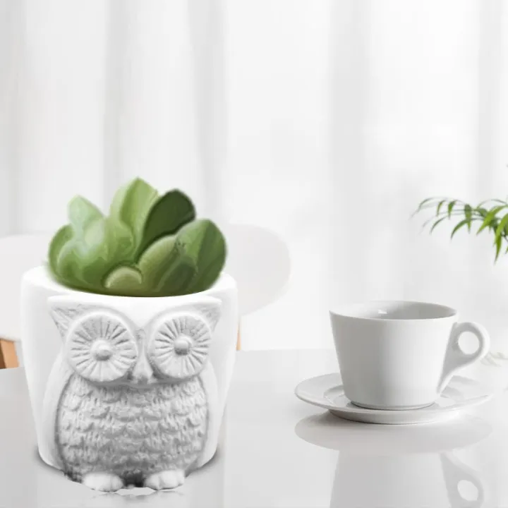 Home%20Decoration%20Items%203%20Piece%20Mini%20Owl%20Design%20Flower%20Pot%20Succulent%20Planter%20-%20Image%203