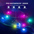 WS2812B RGB Ic Individually Addressable Chasing Color Smart Fairy String Light PVC Wire 32.8FT 100LEDs without Controller. 