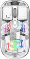 Bluetooth Wireless Mouse, Transparent RGB Mechanical Dual Mode Gaming Mouse,1600 DPI RGB Bluetooth Mouse, Type-C Rechargeable, Transparent Shell, for Laptop/PC/MAC. 