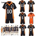 Lanyun Anime Haikyuu Hinata Shoyo Karasuno High School Volleyball Sportswear Sales promotion Christma Party Cosplay Short Sleeve Short Jersey Uniform. 