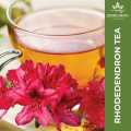 Rhododendron Arboreum Tea (50gms) / Herbs Nepal. 