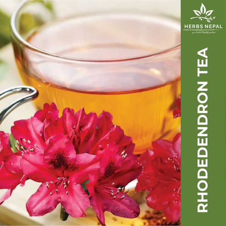 Rhododendron Arboreum Tea (50gms) / Herbs Nepal