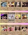 One Piece New Bounty A4 Size Poster 12 pc Set, Anime Poster. 
