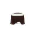 Bagmatii Plastic Fancy Mini Stool. 