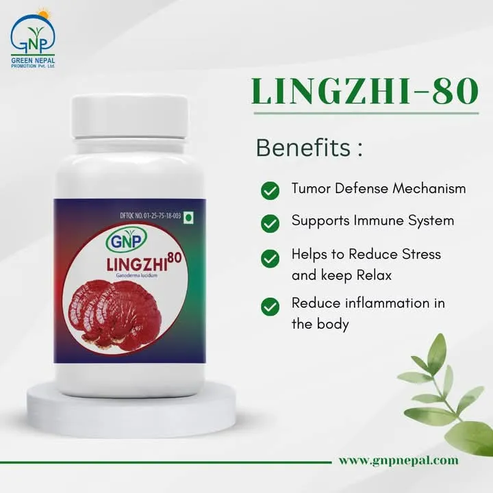 GNP%20Lingzhi-80%20Mushroom%20Health%20Supplement%20%20(90%20capsules)%20-%20Image%204