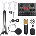 Bm800 Professional Studio Condenser Microphone with V8s Sound Card. 