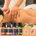Freshener Air Household Humidifier Aroma 10ml Diffuser Essential Oil Air Water Soluble Lavender Rose Eucalyptus Auto. 