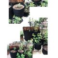 2 Pcs Plant Grow Bags 7 Gallon Nonwoven Fabric Growing Bags(Black). 