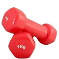Dumbbell Set 1 kg Pair Total Weight 2 Kg. 