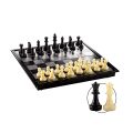 Magnetic Playing Chess Set. 