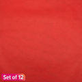 Pack Of 12 Red Color Plain Color Paper Sheet 75*50 cm. 