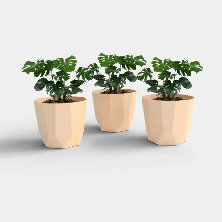SHERA%20%7C%20Hexa%206"%20Planter%20%7C%20Indoor%20and%20Outdoor%20%7C%20Gamala%20%7C%20Flower%20Pot%20-%20Image%206