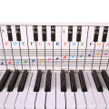 Sptrry61Keys 88 Keys Piano Keyboard Reference Chart Five Line Piano Reference Chart Electronic Piano Fingerings Practice Cards. 