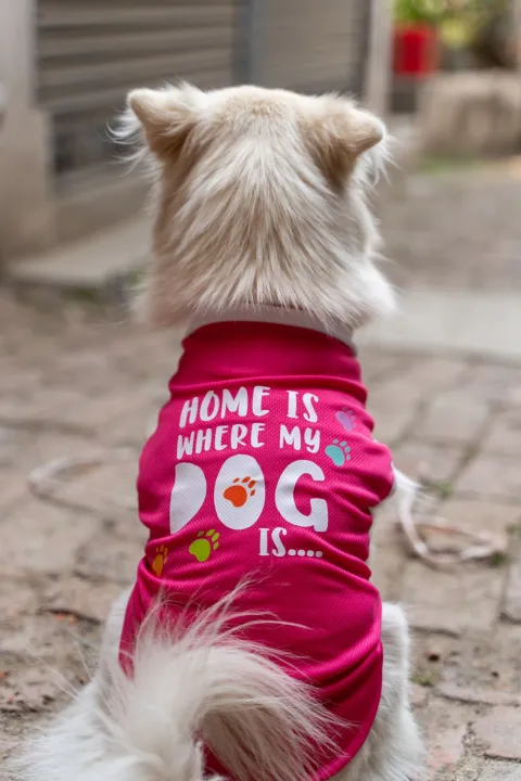 Cute%20Summer%20Printed%20T-shirts%20For%20Dogs%20I%20Dog%20Clothes%20l%20Khicha%20I%20-%20Image%202