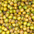 Lapsi | Fresh Lapsi | Fresh Raw Nepali Lapsi (Choerospondias axillaris) |  Himalayan Hog Plum | Naturally Grown & Chemical-Free | Tangy & Sour Fruit | Ideal for Pickles (Achar) & Traditional Recipes | Rich in Vitamin C | Authentic Taste of Nepal. 