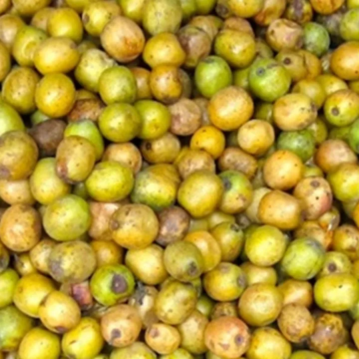 Lapsi%20%7C%20Fresh%20Lapsi%20%7C%20Fresh%20Raw%20Nepali%20Lapsi%20(Choerospondias%20axillaris)%20%7C%20%20Himalayan%20Hog%20Plum%20%7C%20Naturally%20Grown%20&%20Chemical-Free%20%7C%20Tangy%20&%20Sour%20Fruit%20%7C%20Ideal%20for%20Pickles%20(Achar)%20&%20Traditional%20Recipes%20%7C%20Rich%20in%20Vitamin%20C%20%7C%20Authentic%20Taste%20of%20Nepal%20-%20Image%203